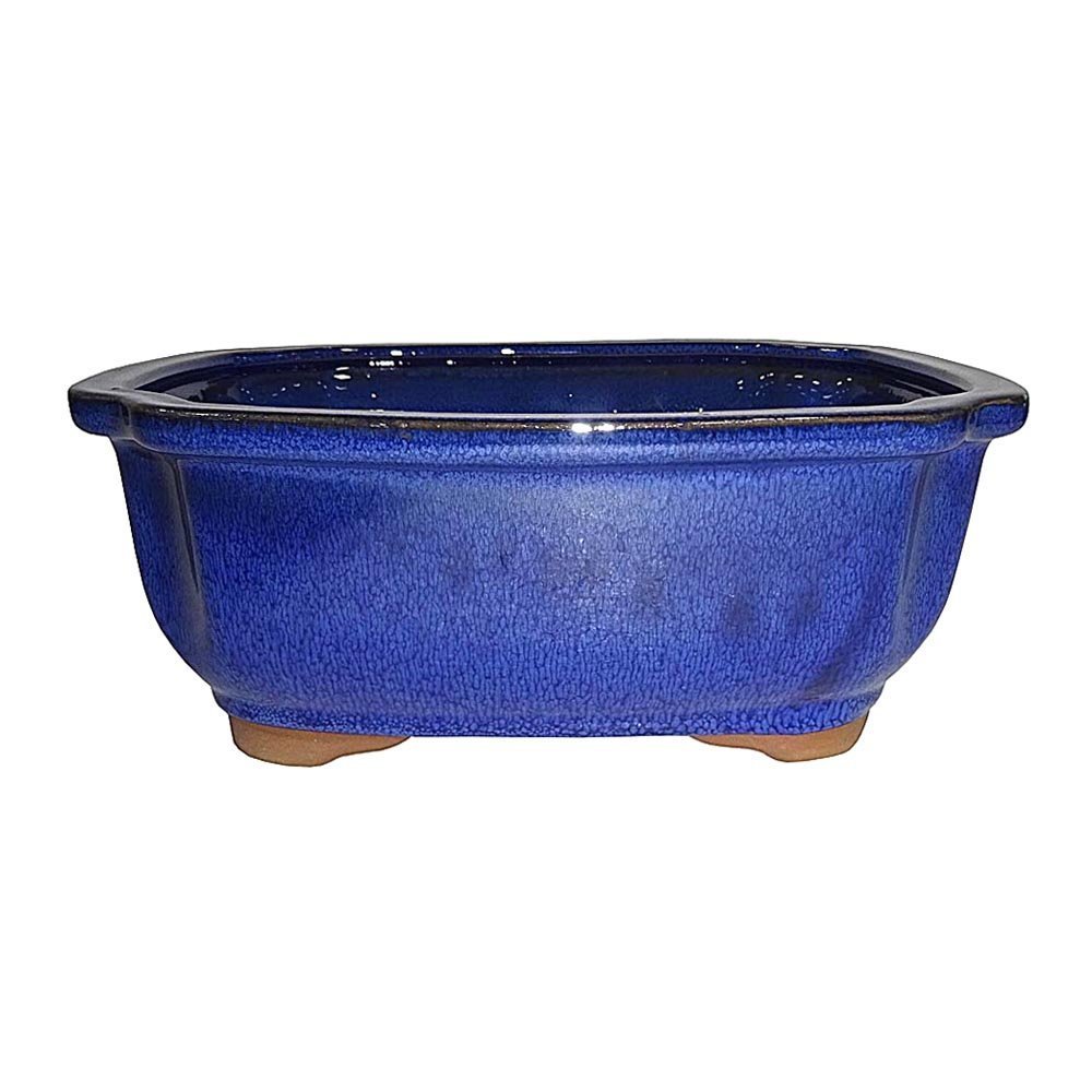Brussel's 7 Lotus Bonsai Pot