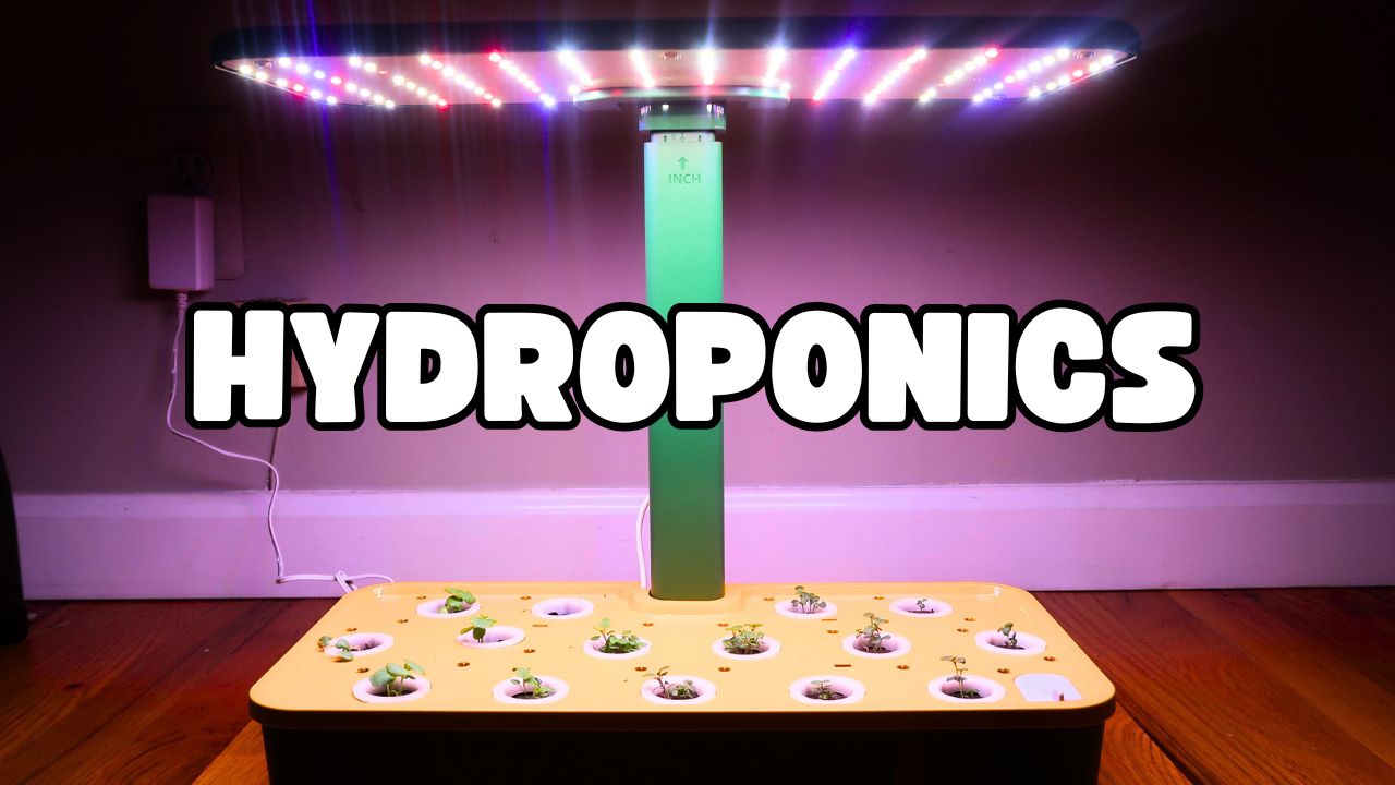 Watch GreeHealth Hydroponics | Full Review with Assembly Growth on