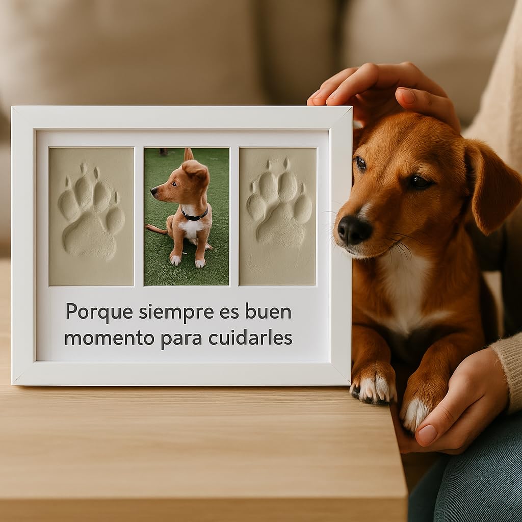 Marco para Huellas de Mascota (Perro, Gato) con Foto. Kit de Impresión de Arcilla Blanca. Caja Regalo con paspartus de Colores.Recuerdo Personalizado para Perros y Gatos.
