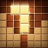 Wood Block Puzzle - Brain Sudoku