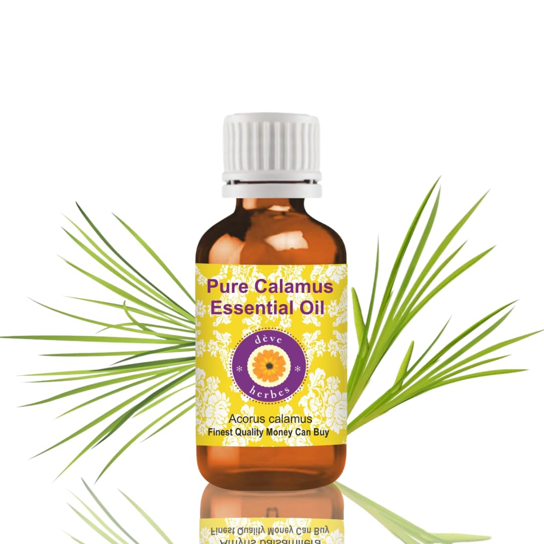Deve Herbes Pure Calamus Essential Oil (Acorus calamus) distillato a vapore di grado terapeutico naturale al 100% 100ml (3.38 oz)