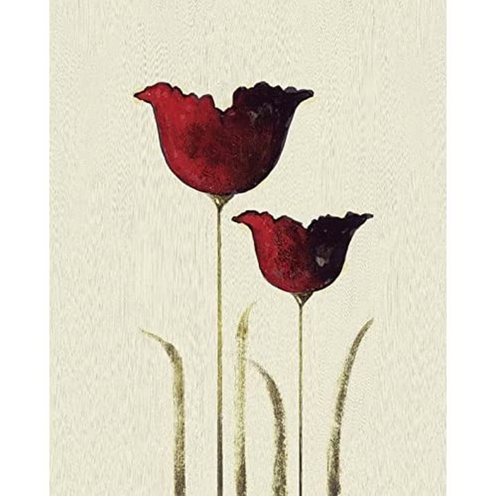 Nicola Evans "Tulips II Canvas Print, Multi-Colour, 40 x 50 cm