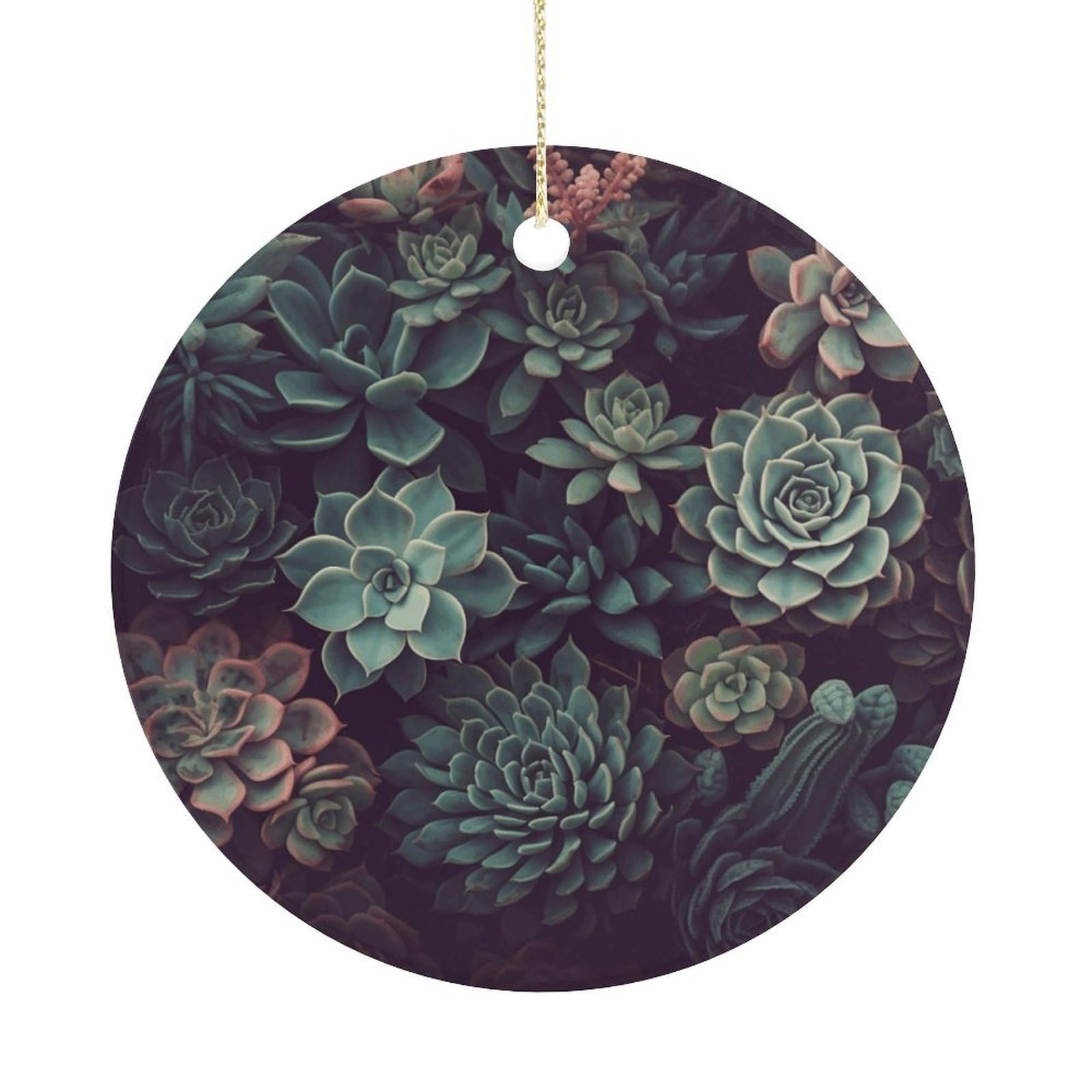 Adfgyerh Women's Style Succulents2 Hanging Ceramic Ornaments, Christmas Tree Decorations, Funny Home Decor Gifts For Sisters & Work Best Friends