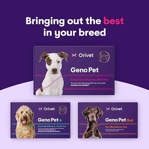 Miniatura 7 de Orivet Genopet - Prueba de ADN para perros  Kit de prueba de raza de perro pruebas genéticas riesgos hereditarios para la salud y plan de vida