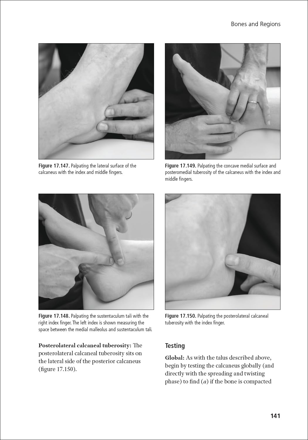 Unwinding Bone: A Complete Guide to Biodynamic Skeletal Therapy for Myofascial and Manual Therapists