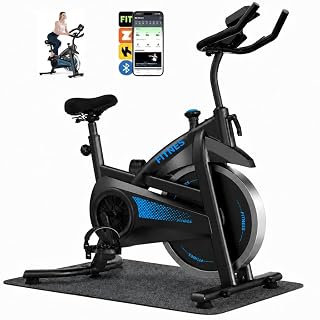 Bicicleta Spinning com Roda de Inércia de 13 kg