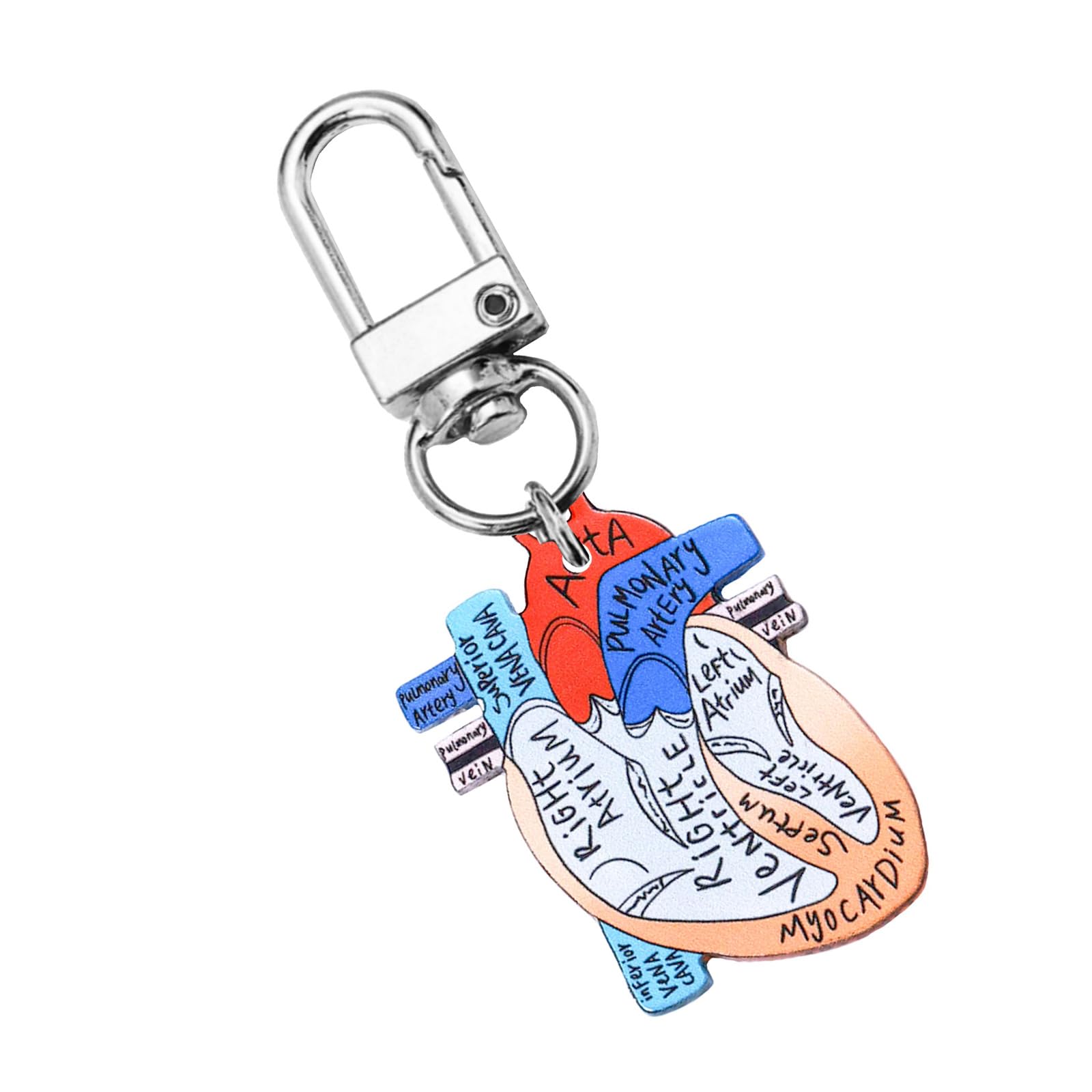 Gissroys Sturdy Acrylic Heart Schematic Keychain Unique Human Keychain Scientists and Those Interested in Biology Human Keyring