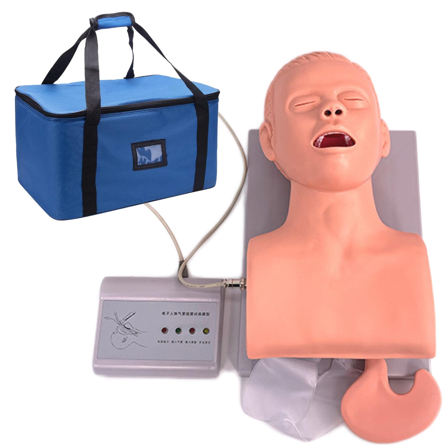 Simulatore di Formazione intubazione, PVC Manikin Adulto per la Gestione delle Vie aeree orali e nasali, Modello di Istruzione tracheale, Compatibile con l'alimentazione elettrica 110-220V