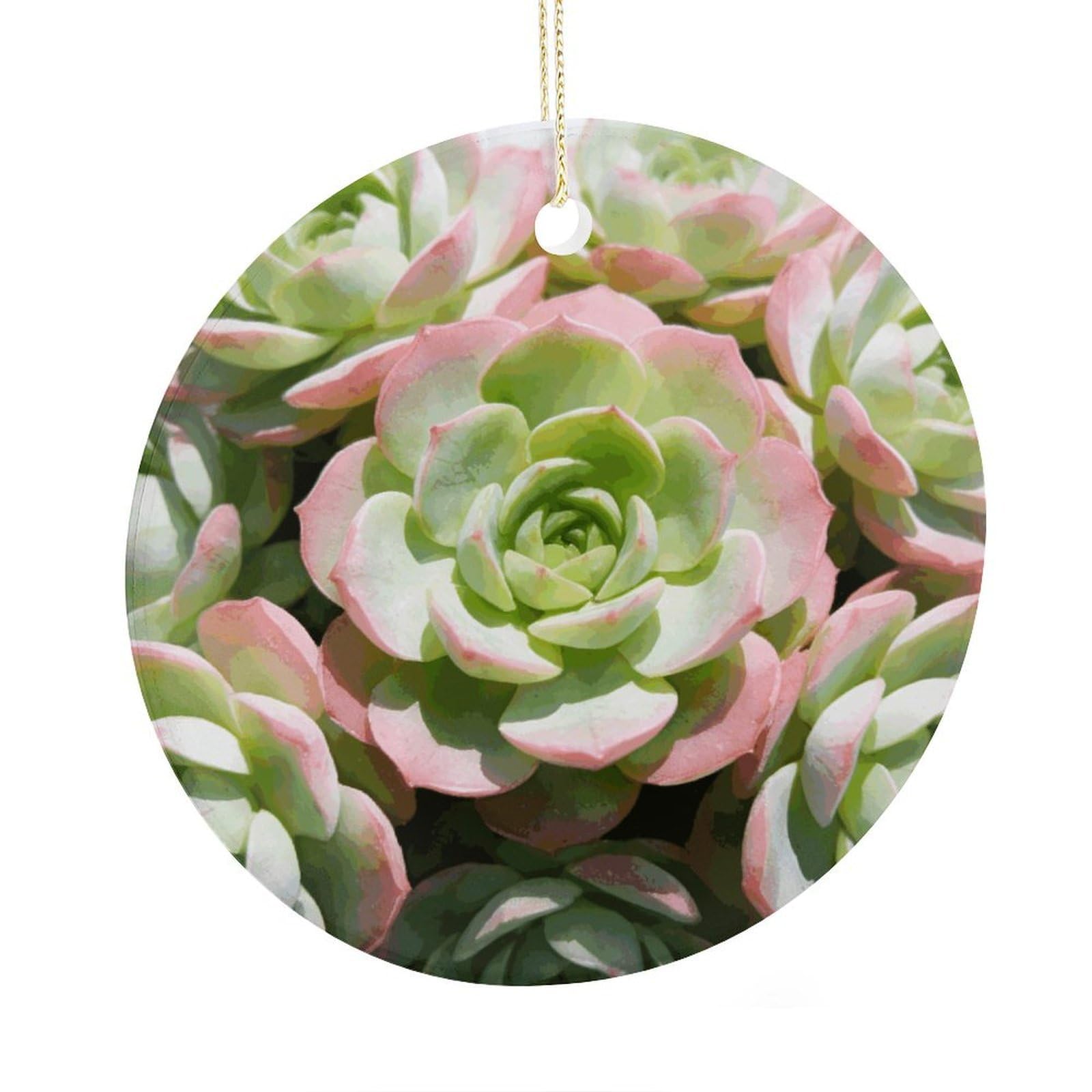Fodpand Women's Style Watercolor Succulent Plants Ceramic Christmas Ornament,Wall Hanging Decor Windows Hanging Decor Best Friend Birthday Gifts, Friendship Gifts Car Hanging Ornament Gift For Girls, Teachers 2.9 In