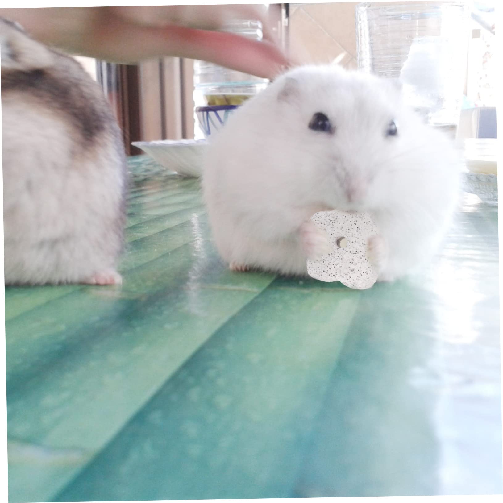 Pierres à Mâcher Pour Rongeurs – Lot De 12, Naturelles, Avec Trou Central, Pour Hamsters, Lapins, Chinchillas - 3