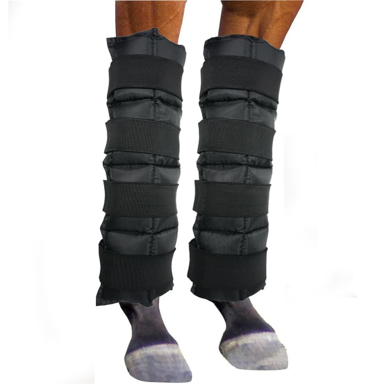 Generisch Fasce rinfrescanti per gambe di cavallo, per comfort e recupero con chiusure, 40 x 38 cm, crioterapia per lesioni sportive