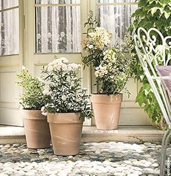 イタリア製のアンティークの鉢です 楽天市場】イタリア製 テラコッタ鉢 6号サイズ : 園芸百貨店