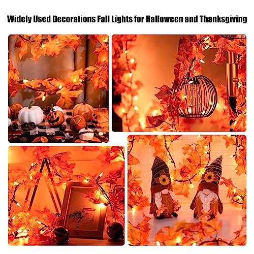Meknow HCH-50/1FD15 Fall Decor Fall Decorations For Home 9Ft Plug In Fall Garland With Lights 50 Orange Bulbs Connectable Lighted Fall Garland Lights For Indoor Outdoor Halloween Thanksgiving Harvest Decorations thumb #5