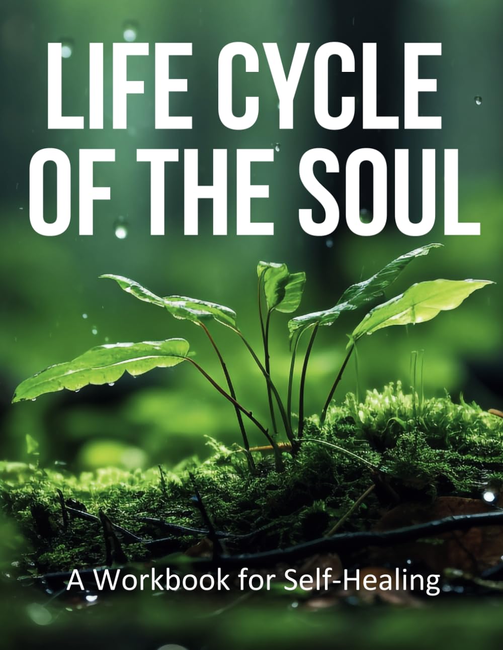 Life Cycle of the Soul: A Workbook for Self Healing