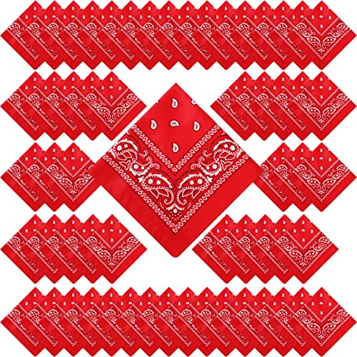 100 Pack Bandanas Unisex Paisley Bandanas Bulk Multi Purpose Cowboy Head Wrap Necktie Face Cover Party Supplies, 21.26 inches