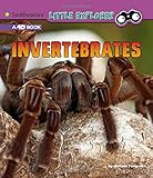 Invertebrates: A 4D Book (Little Zoologist)