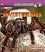 Invertebrates: A 4D Book (Little Zoologist)