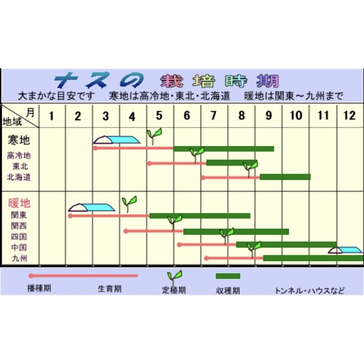 Amazon.co.jp: ウクレレ園芸SHOP カラフル茄子Mix 種子0.5㎖(約