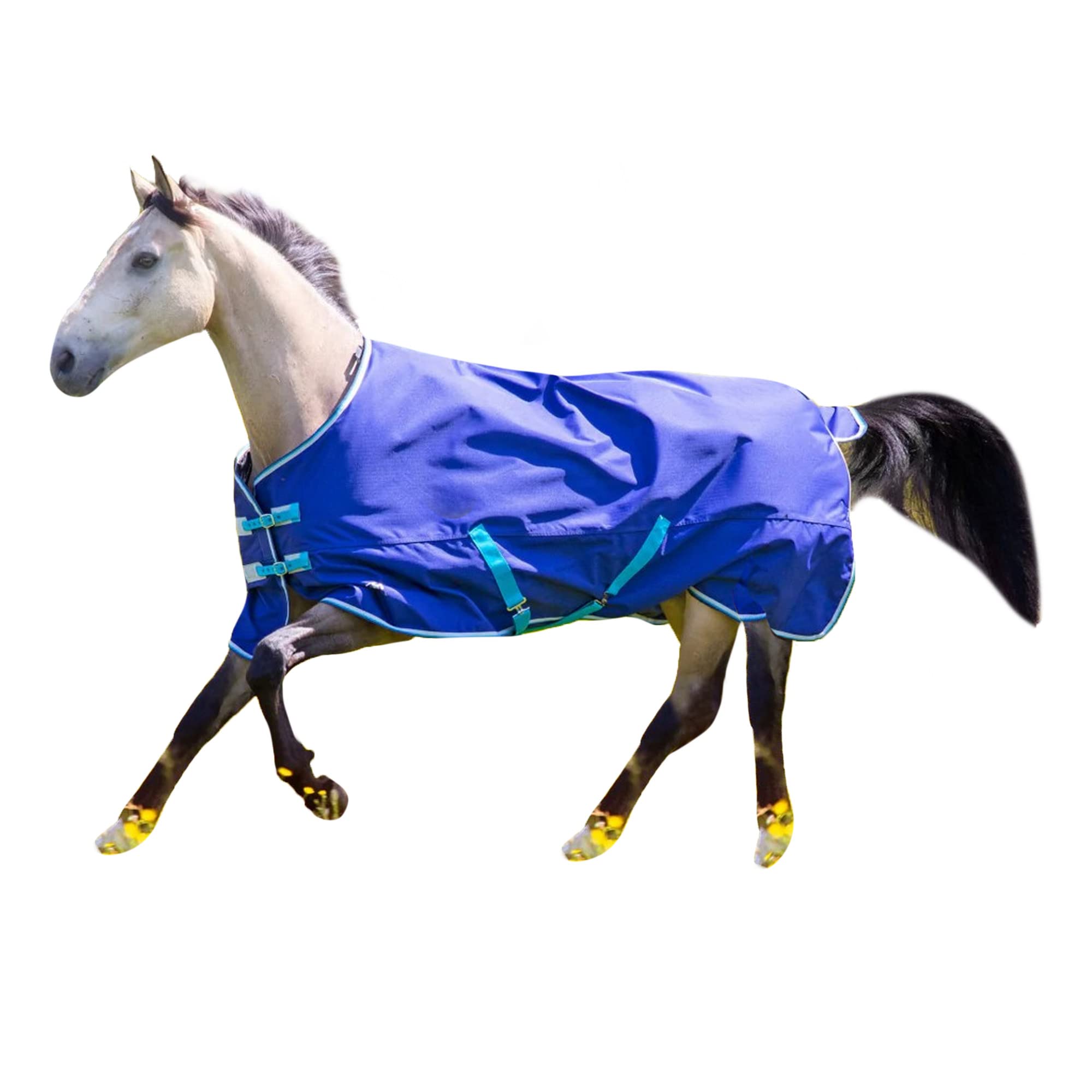Tempest Original 100 - Coperta per cavallo con collo standard