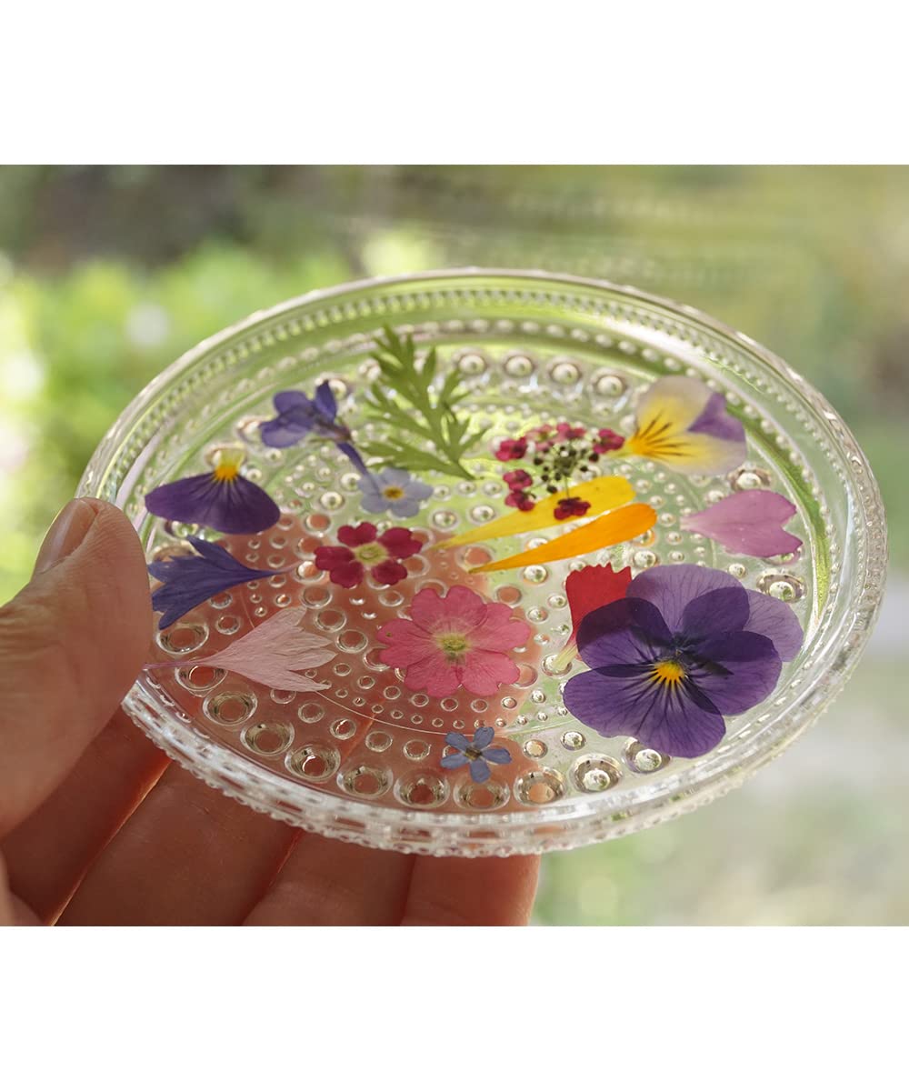 Amazon.co.jp: 乾燥食用花 『彩りミックス』 食べられるお花 のせる