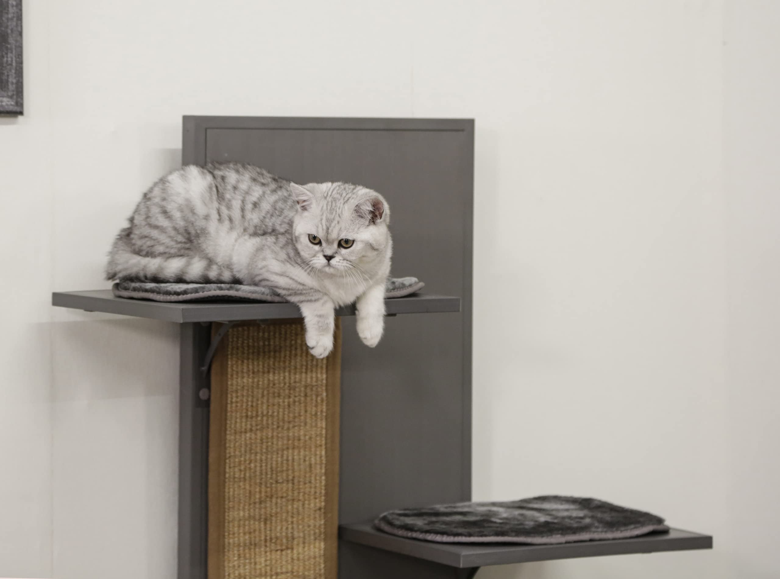 Kerbl Pet ECO-Katzenspielhaus Alex 42x42x152,5 cm
