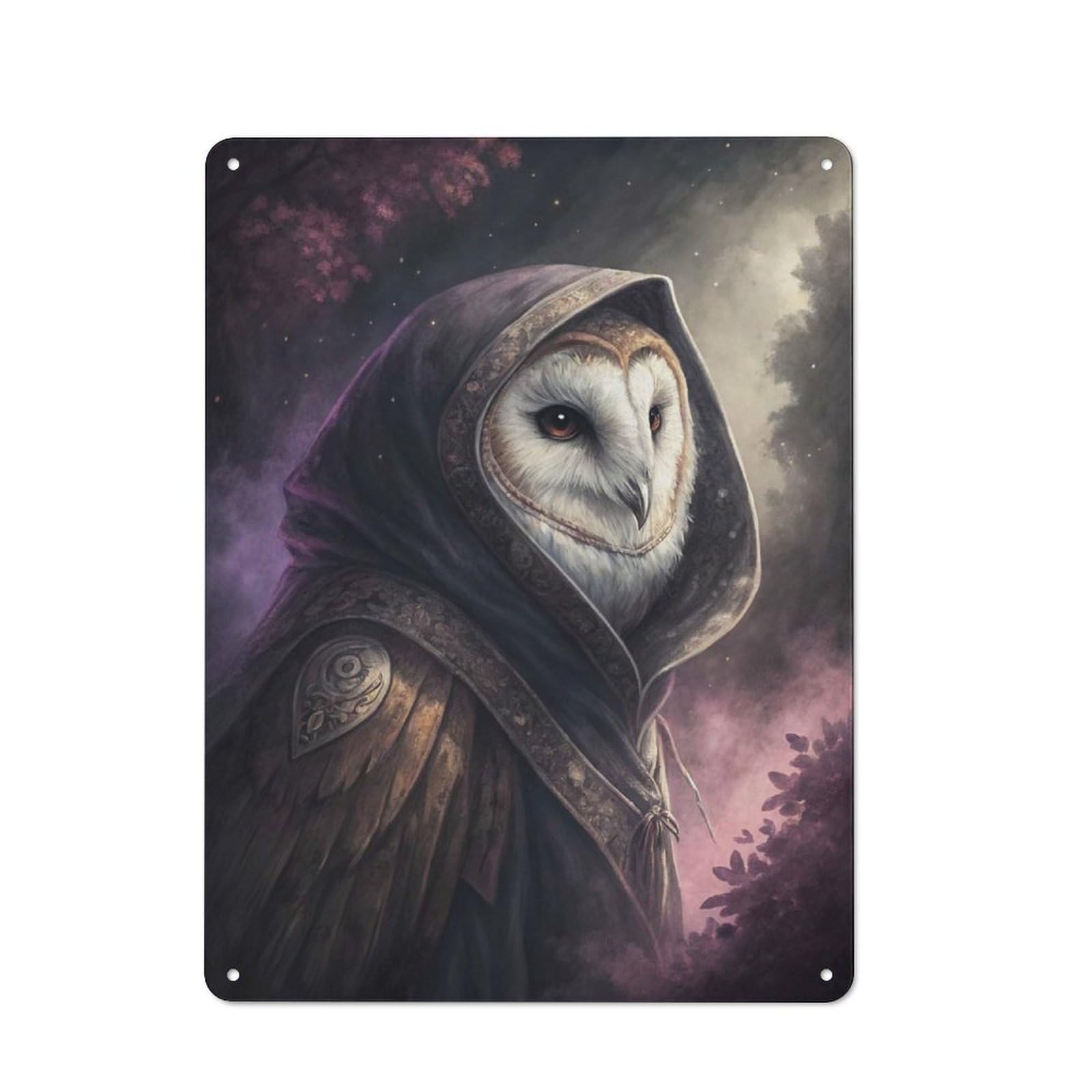 Decorative Tin Plaque with Mysterious Hooded Owl Wizard Design 40x30cm, Decorative Novelty Wall Art for Bedroom, Kitchen, Office Or Living Room