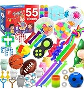 Hapitoys Sensory Toys Set 55 Pack, Stress Relief Fidget Hand Toys for Adults and Kids, Sensory Fi...