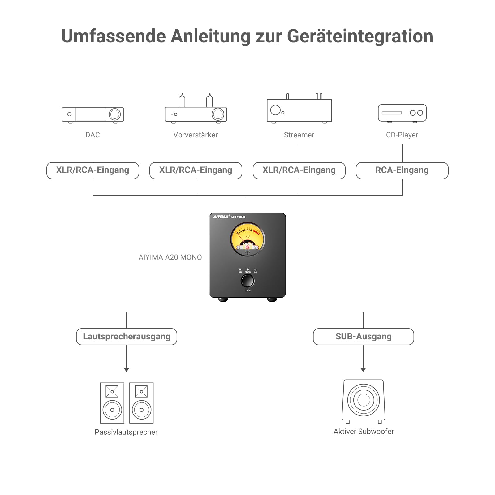 AIYIMA A20 Mono Vollsymmetrischer 300W TPA3255 Klasse D Verstärker mit HFP