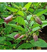 VK-da 720p porno video Erkak striptiz yashirin kamera