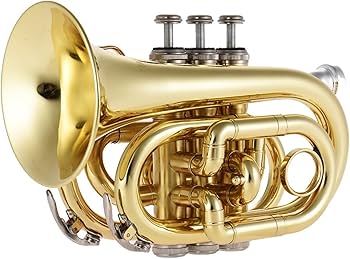 Amazon | 初心者金管楽器 ミニポケットトランペット Bb フラット Amazon | 初心者金管楽器 ミニポケットトランペット Bb フラット