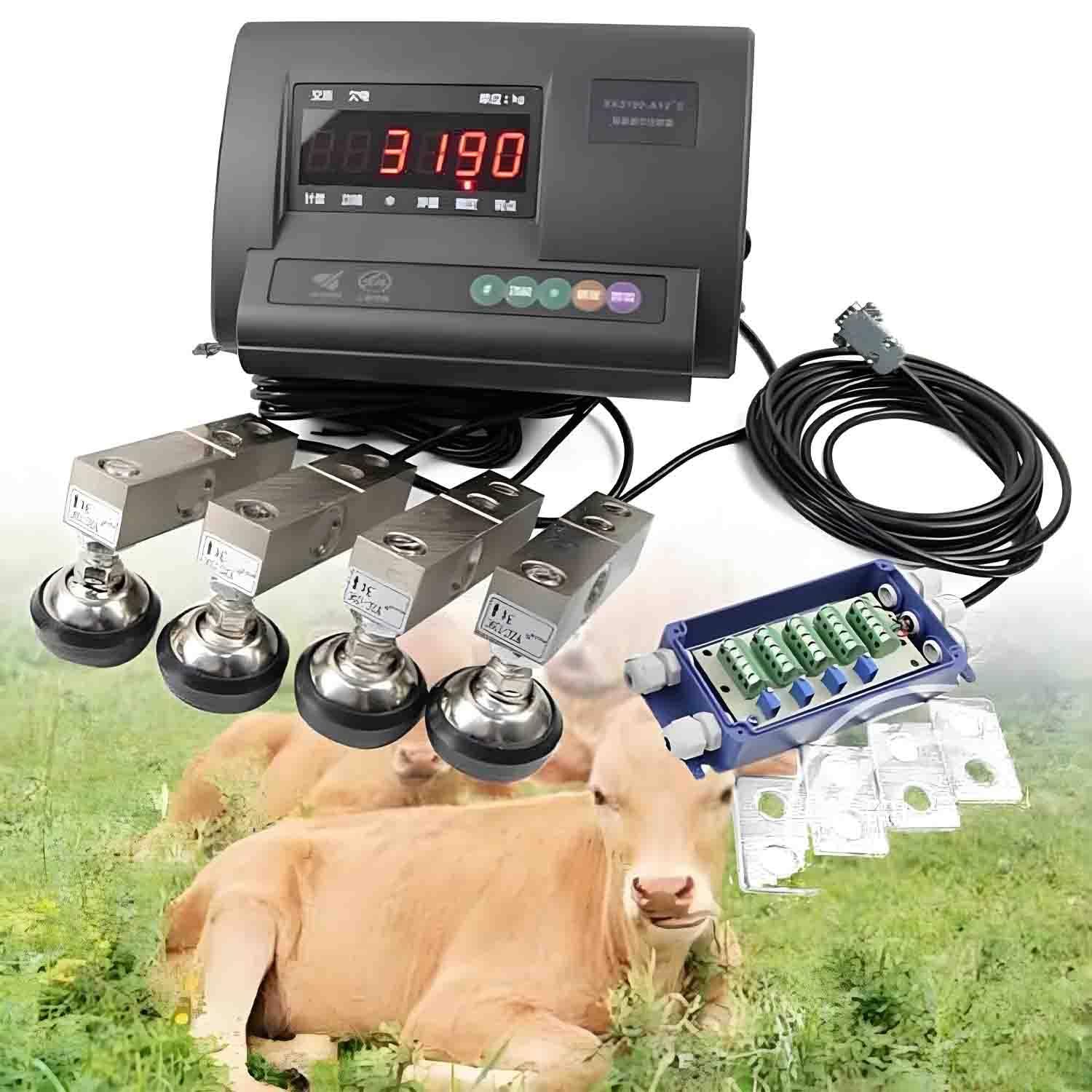 UORDBY High Precision Livestock Scale Indicator, High Precision Indicator Floor Scale Kit, Electronic Platform Scale with 4 Load Cells and Connection Box, for Cattle, Pig, Sheep 5000kg