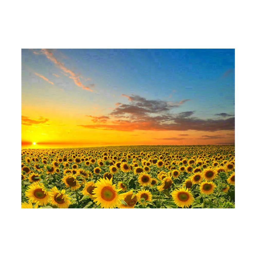 Pracht Creatives Hobby Diamond Painting Set, Sunflowers and Accessories, Craft Kit for Painting with Rhinestones, for Children from 5 Years
