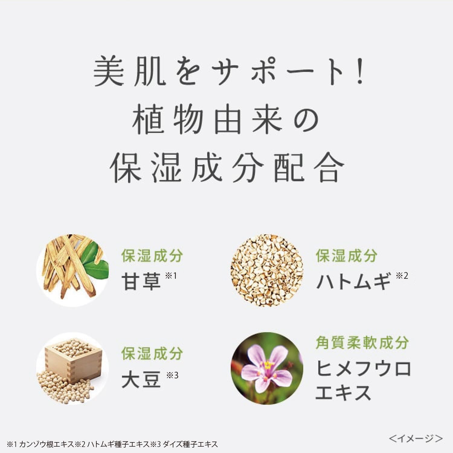 PDC Wafood Made Uji Matcha Enzyme Lot de 30 paquets de poudre nettoyante pour le visage à usage unique – Poudre nettoyante au thé vert japonais avec enzymes, exfoliant doux et nettoyant rafraîchissant