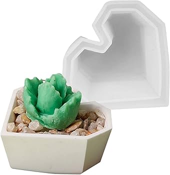 61nNuOSGFsL._AC_UF350,