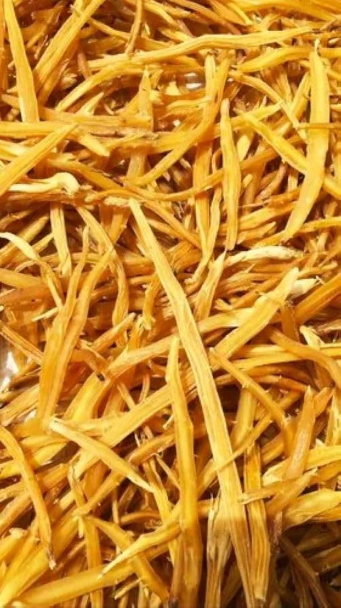 Shatavari Root Whole, 200 gm Natural Herbal Supplement