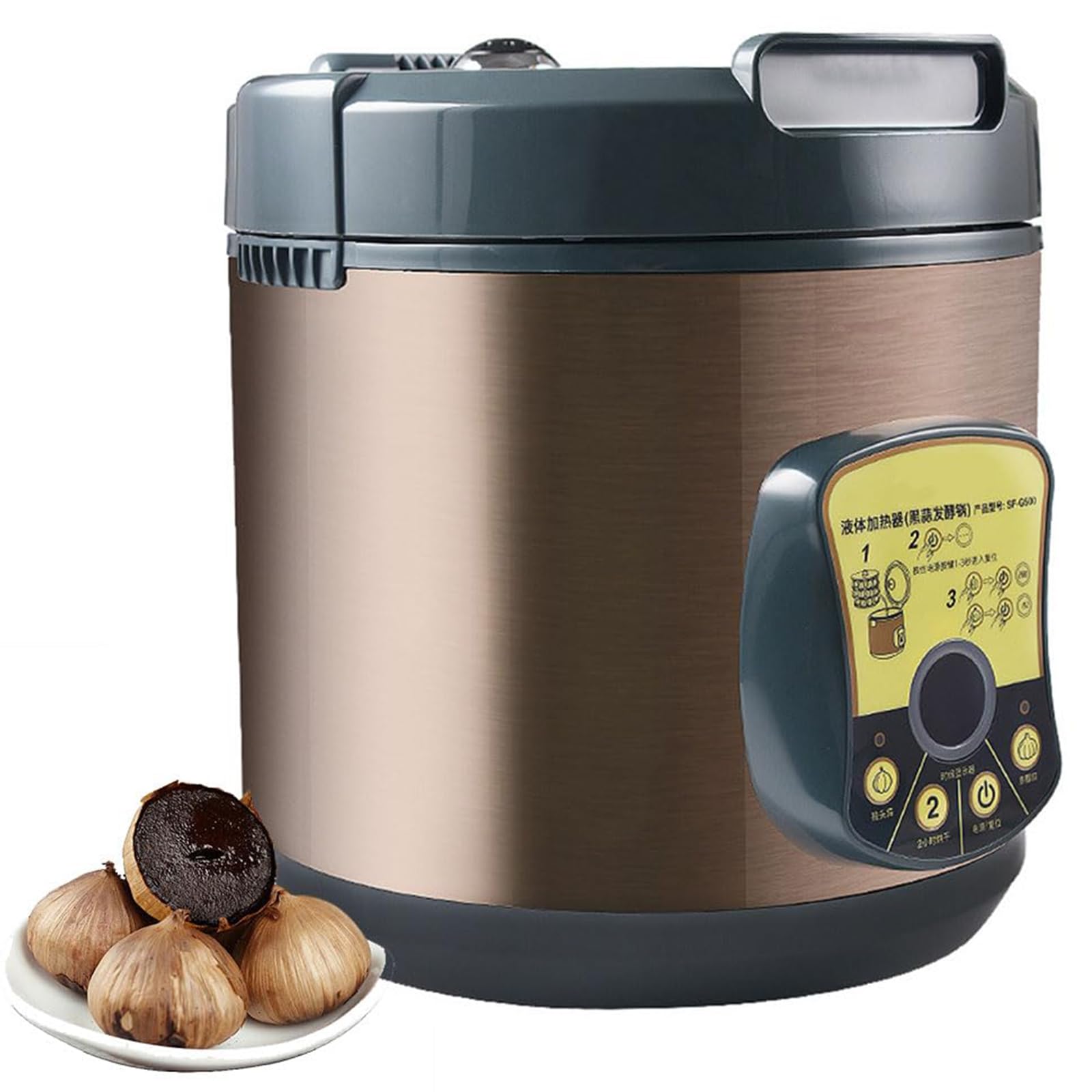 Fermenteur d'ail noir automatique pour réussir sa fermentation à tous les coups