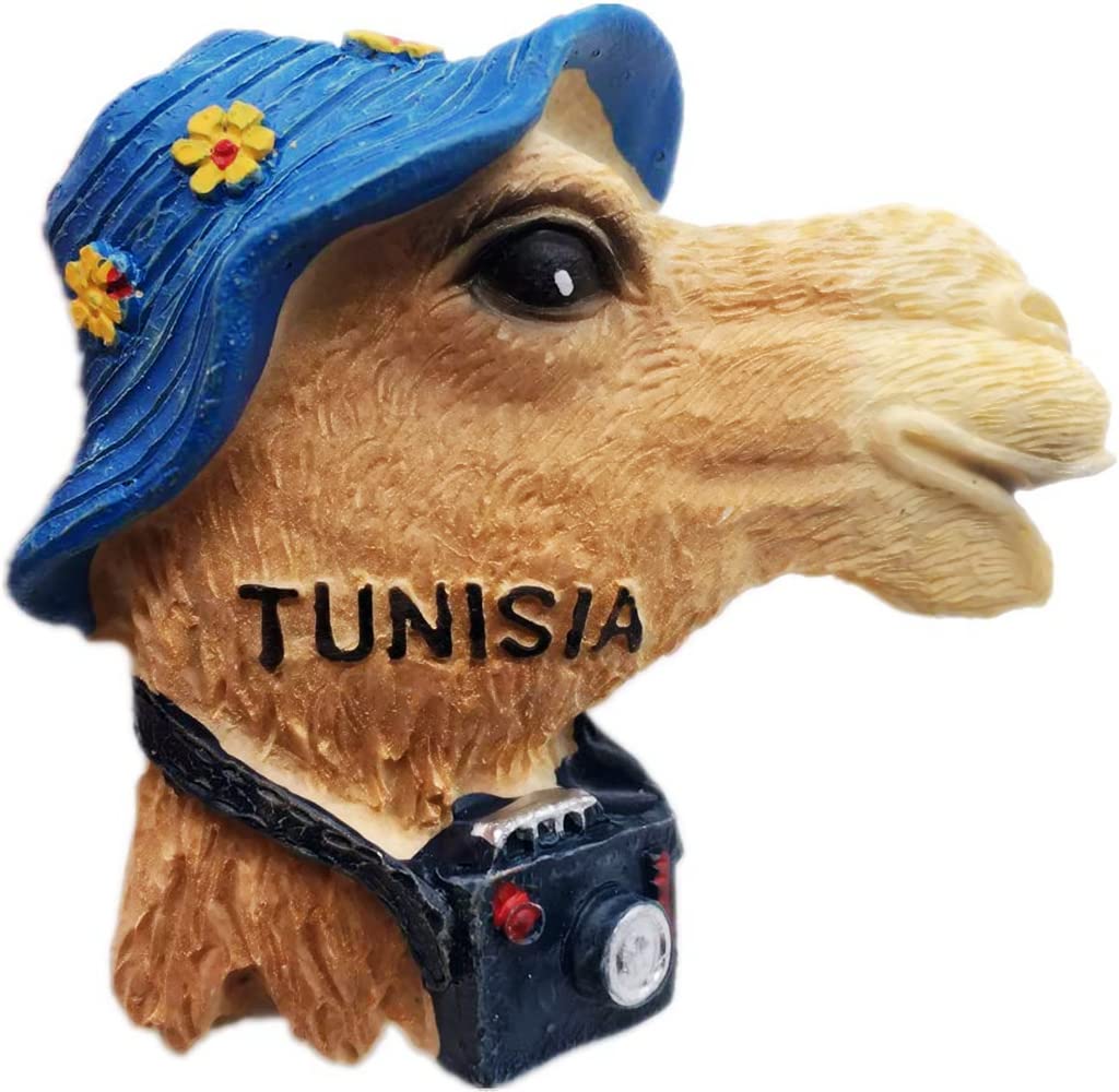 Hat Camel Tunisia Magnet Fridge Refrigerator Magnet Decoration Sticker Souvenir Resin Crafts Kitchen Whiteboard