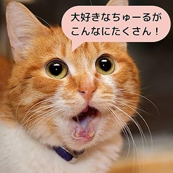 エム　いなばチュール他まとめ売り　6点 エム いなばチュール他まとめ売り 6点 いなばペットフード