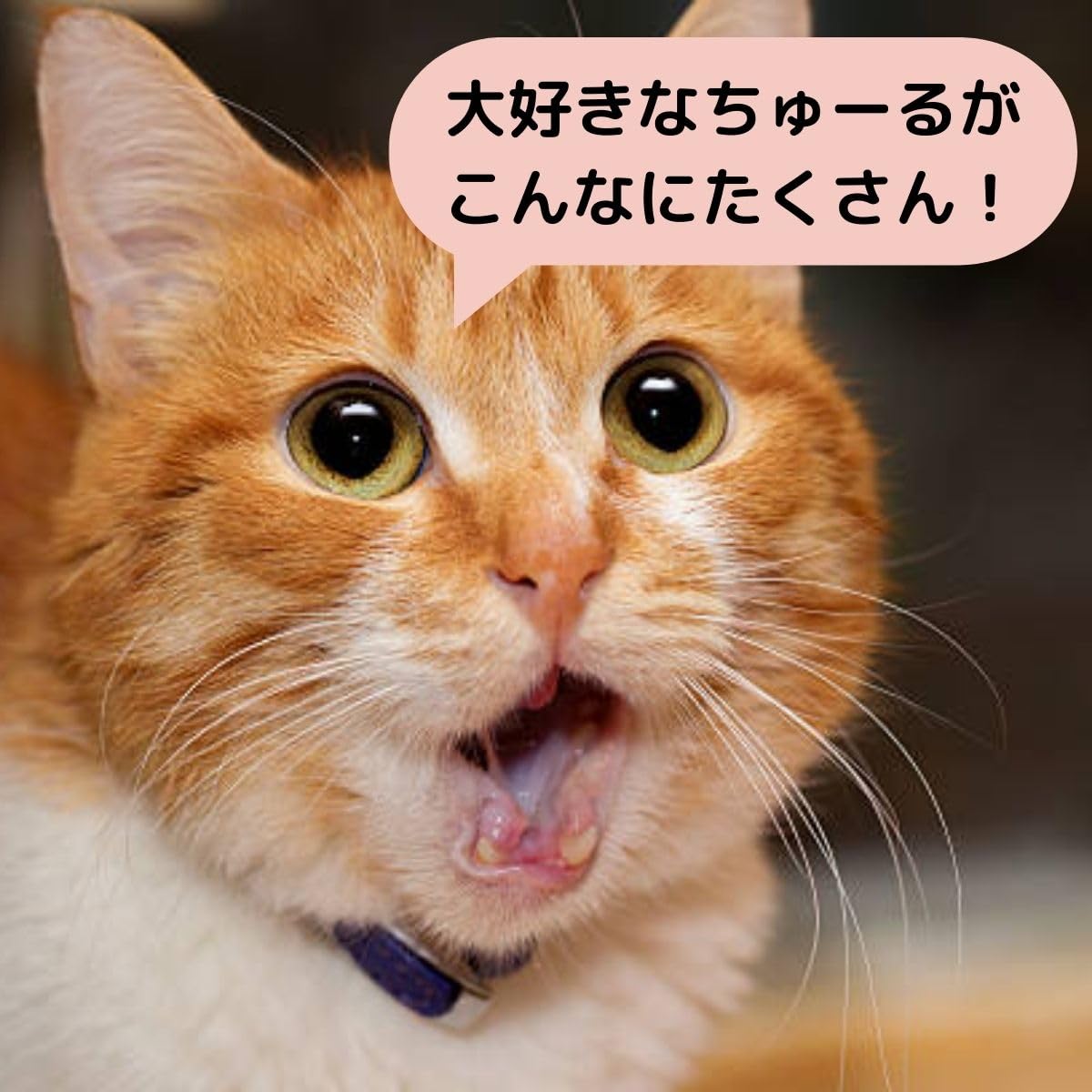 ちゅーる 猫 240本 CIAO ちゅ～る まぐろ・かつおバラエティ 240本入り | 商品情報