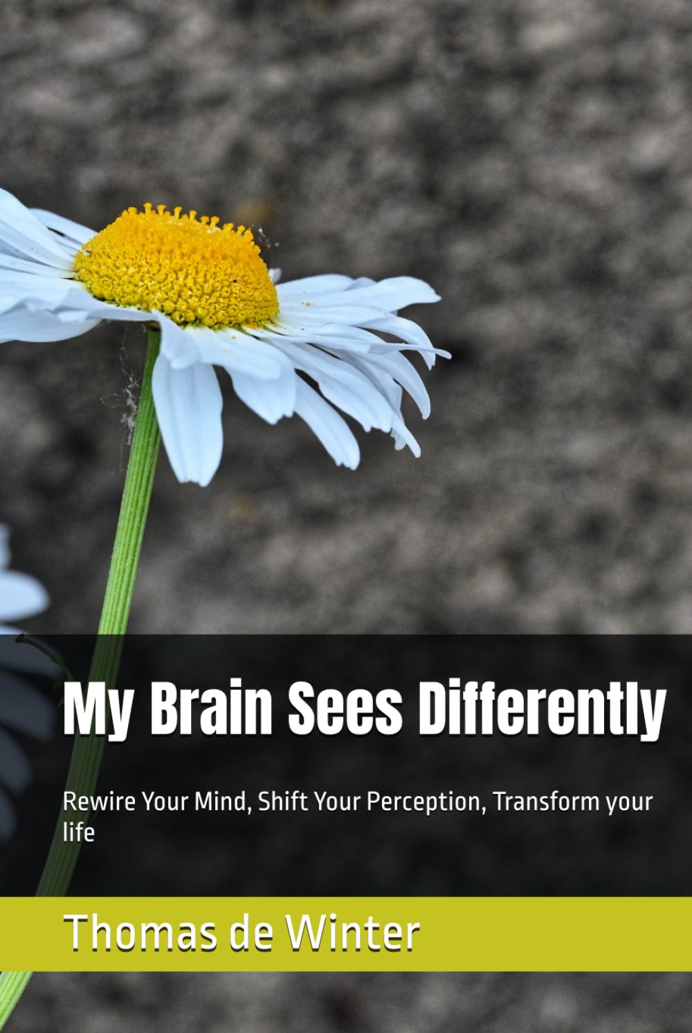 My Brain Sees Differently: Rewire Your Mind, Shift Your Perception,, Transform your life