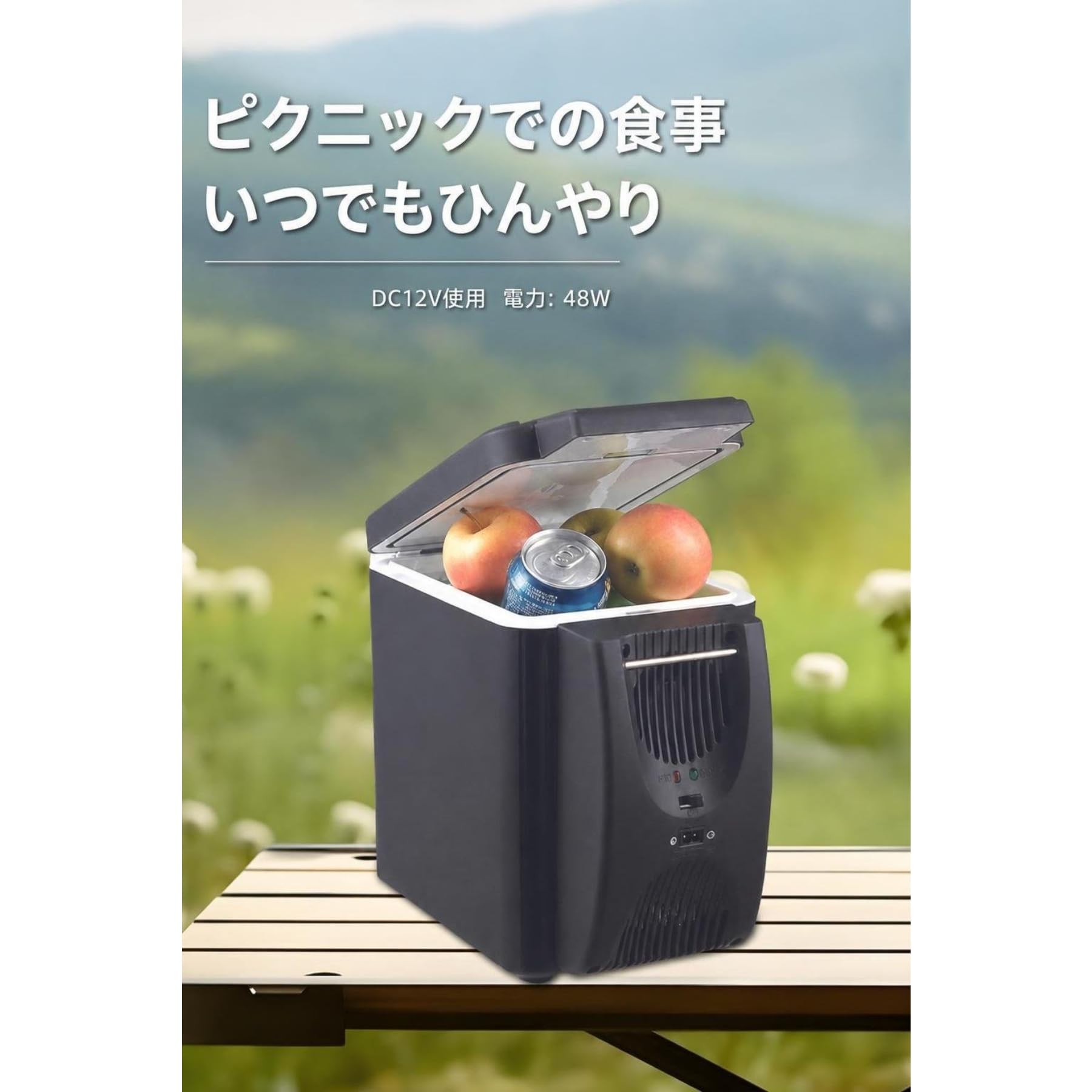 Amazon.co.jp: ZXM 車載用ポータブルミニ冷凍庫 12/24V対応 6L 低