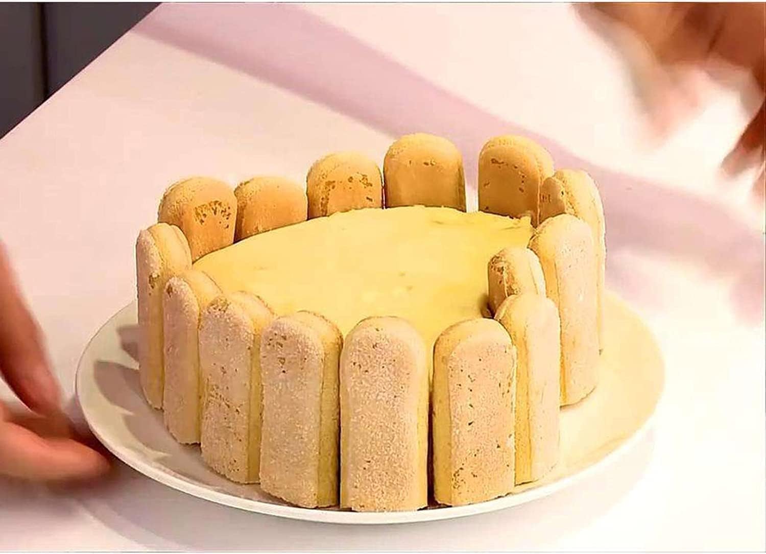 Silicone Ladyfinger Mould - Make Cakes, Brownies & More! -8