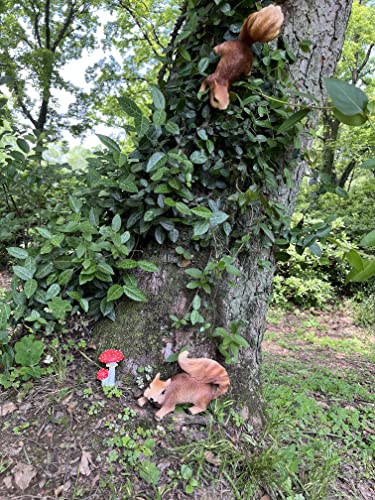 Cliocoo 2Pcs Squirrel Hanging Statues For Garden Decoration, Outdoor Hanging Tree Décor With Screws And Hooks, Cute Animal Figurines For Tree Trunk, Garden, Yard, Patio- 7.5 Inch (2 Squirrels) #TOP2