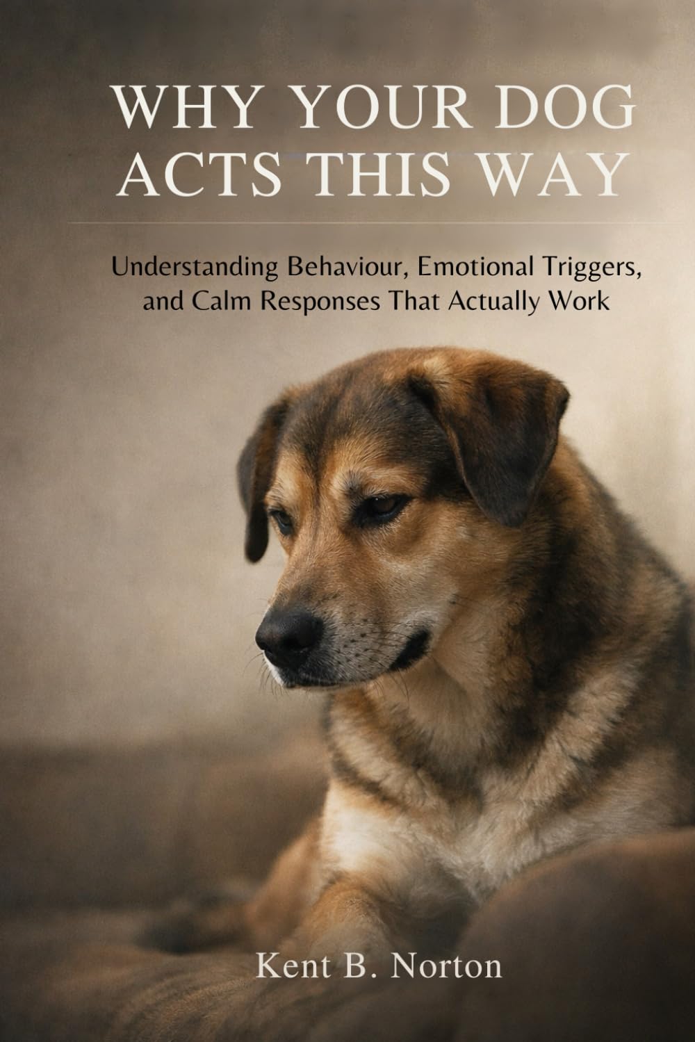 WHEN GOOD DOGS STRUGGLE: Understanding Anxiety, Reactivity, and Stress Without Force or Frustration
