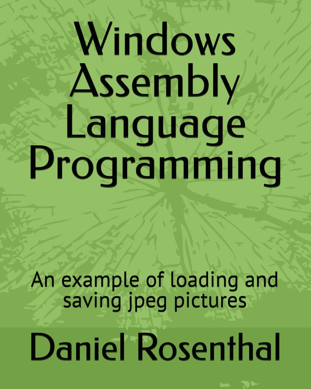 Windows Assembly Language Programming: An example of loading and saving jpeg pictures