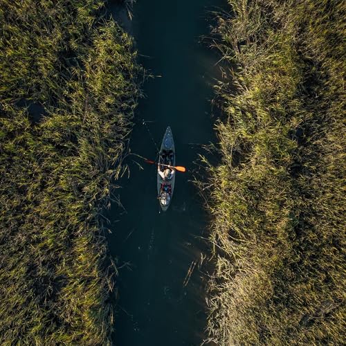 Image of Wilderness Systems Tarpon - Sit on Top Fishing Kayak - Premium Angler Kayak - Adjustable and Designed Seat