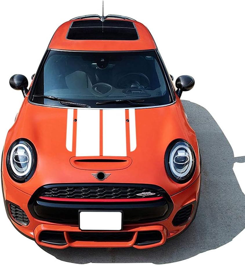 けんさん専用 生産終了モデル モデファイジャズベース バッカス