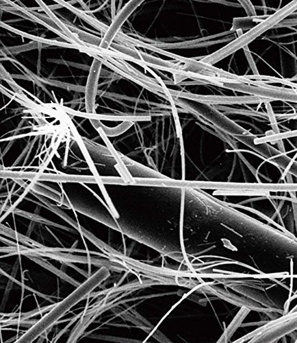 【新品】Progard®プレフィルター PROG000J2 ミリポア ミリポア PR0G000J2 プロガードプレフィルター 2入｜総合的