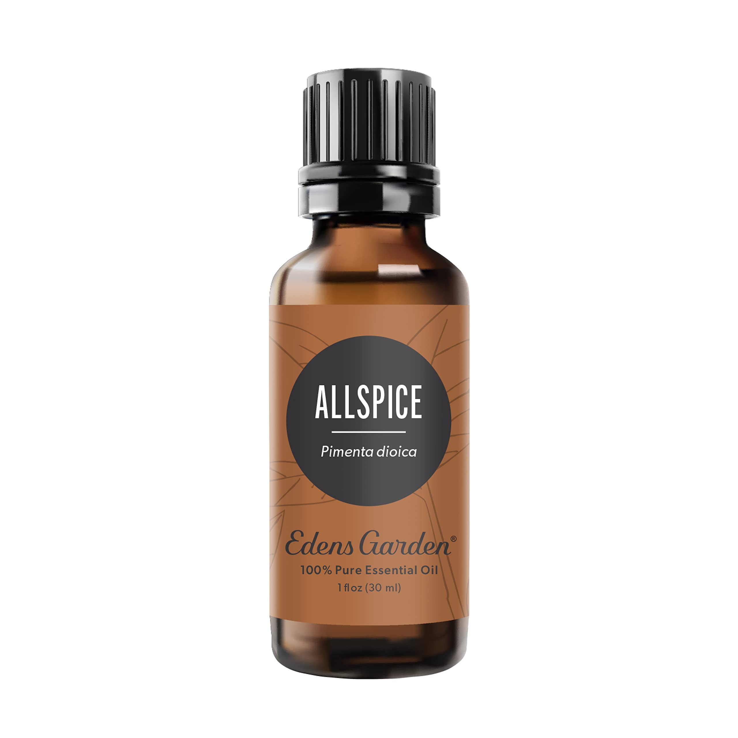 Edens Garden Allspice Essential Oil, 100% Pure Therapeutic Grade (Undiluted Natural/Homeopathic Aromatherapy Scented Essential Oil Singles)