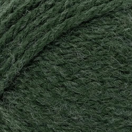 Image of Lion Brand Yarn, Hue + Me Chunky Yarn for Crocheting, Knitting, and Crafts, Night Forest, 1 Pack
